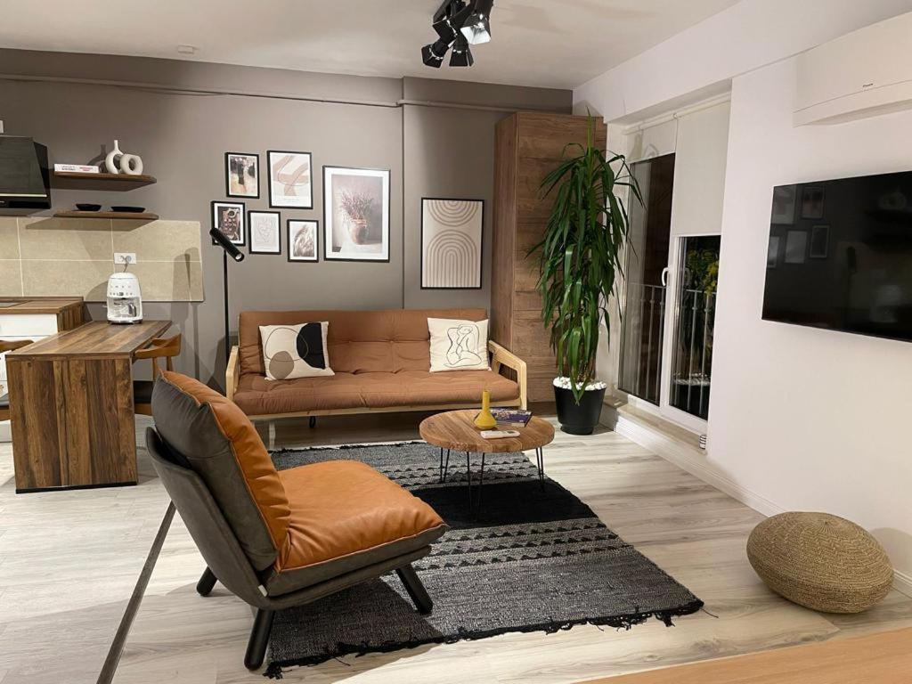 Shi Zi Junior Suite Iasi Buitenkant foto